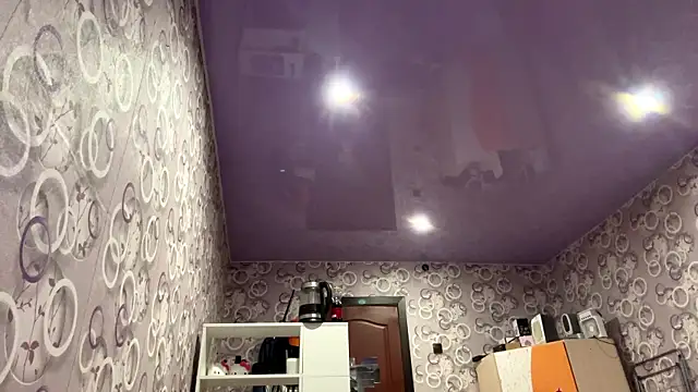 HandyWoo webcam