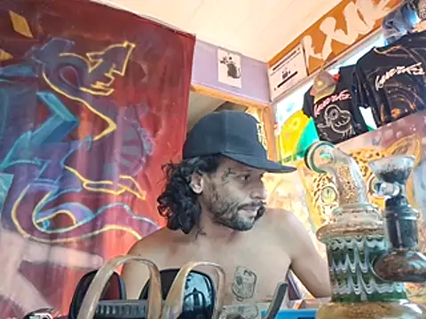 Toycockhot webcam
