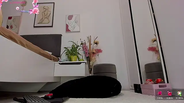 Almatoys webcam