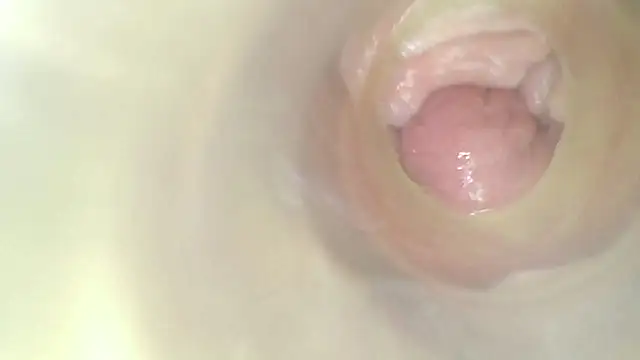 karol_stom webcam