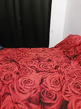snwflk webcam
