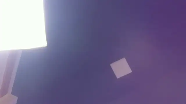 adhalee_js webcam