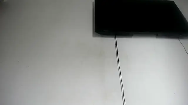 Fox_Loves webcam