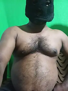 Hiptonos webcam