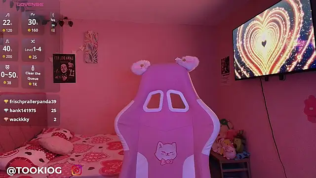 TOOKIOG_ webcam