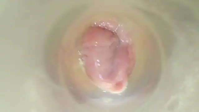 karol_stom webcam