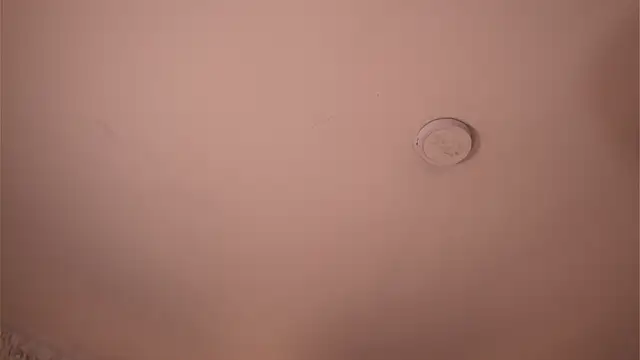 soidai_miiu webcam