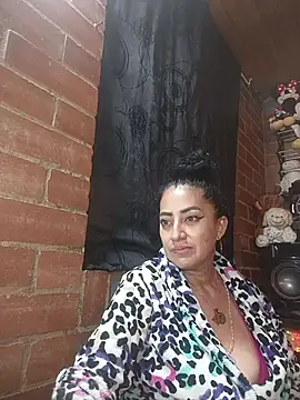 Alexandrina webcam
