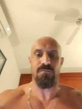 Visto36 live sex cam