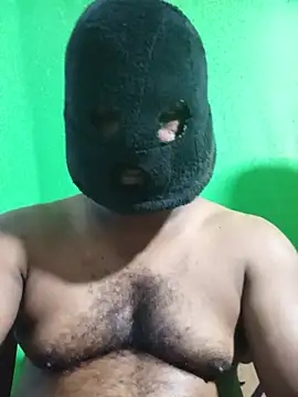 Hiptonos webcam