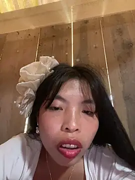 Hikomy- webcam