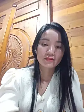 Td3di webcam