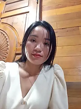 Td3di webcam