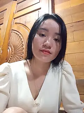 Td3di webcam