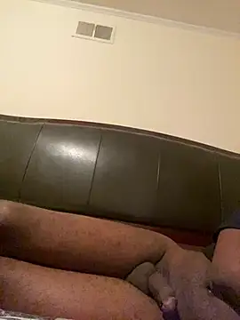 ThickDic28 webcam