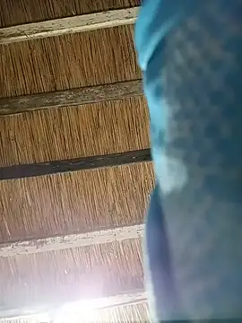 Midomi32 webcam