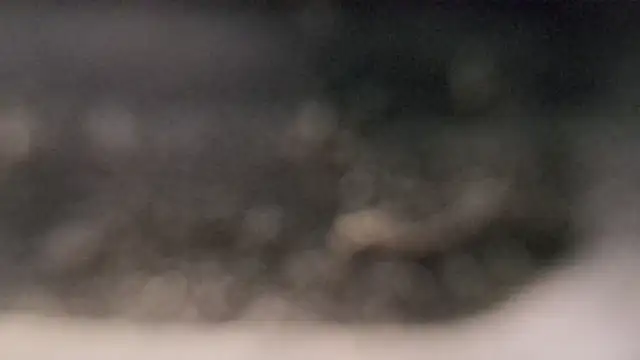 YourHotGreg webcam