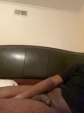 ThickDic28 webcam