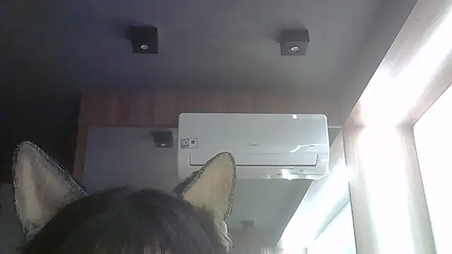 SkinnyKitten webcam