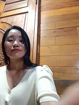 Td3di webcam