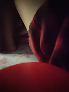 -Tara-a live cam