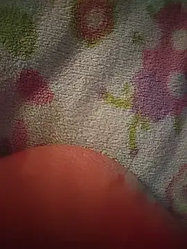 -Tara-a webcam