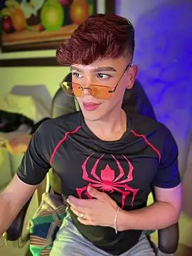 PRINCE_STEV webcam