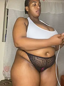 BigS234 webcam
