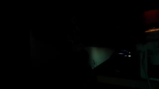 Guyst049 webcam