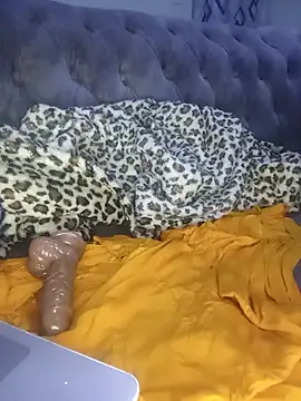 thisBella webcam