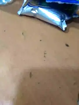 Poipoi__30 webcam