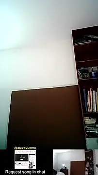 milkbull webcam