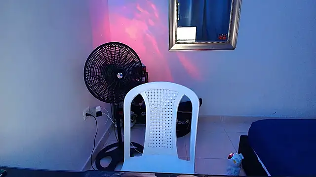 crow_black00 webcam