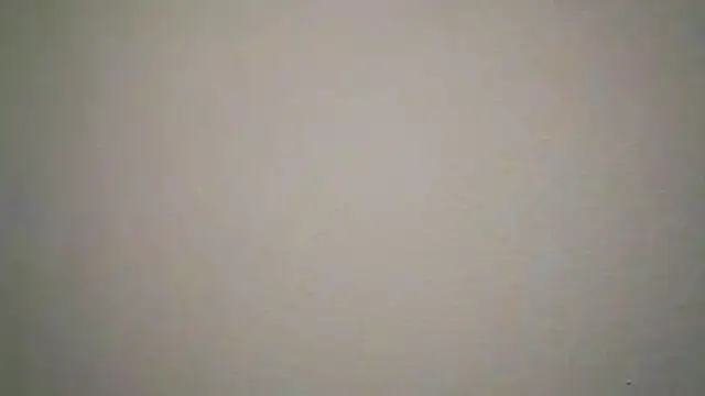 Anubiss91 webcam