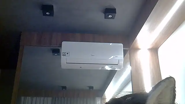 SkinnyKitten webcam