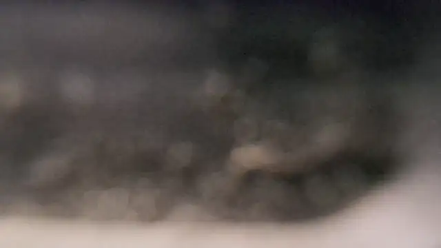 YourHotGreg webcam