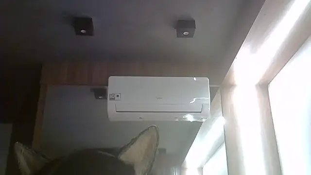 SkinnyKitten webcam
