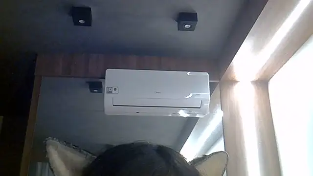 SkinnyKitten webcam