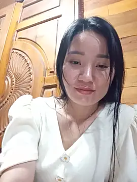 Td3di webcam
