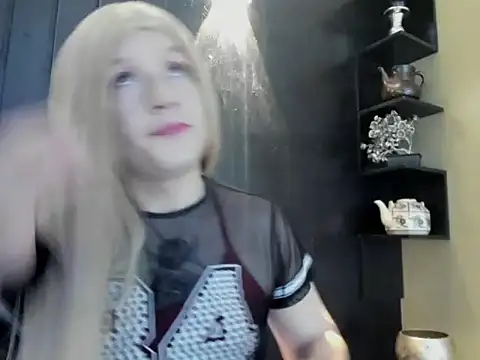 Gomory_Niix webcam