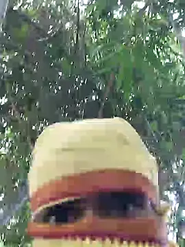 ThethunderPo webcam
