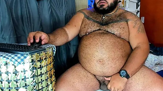 Bearspigdirty webcam