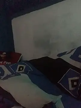 GeilerHSVFAN1989 webcam