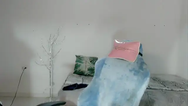 2c_Bby webcam
