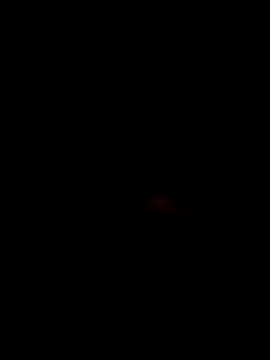 titiestmii webcam