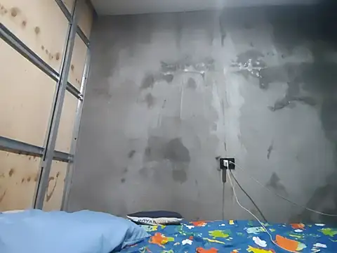 SofiaLibreTs webcam