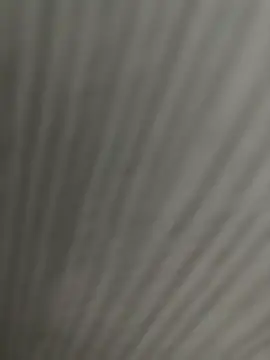 Mores1_Squirt