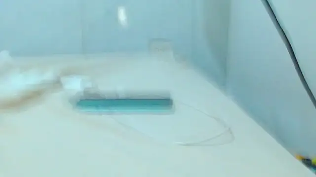 jhony-sex webcam