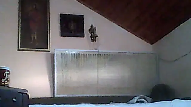bartolik06 webcam