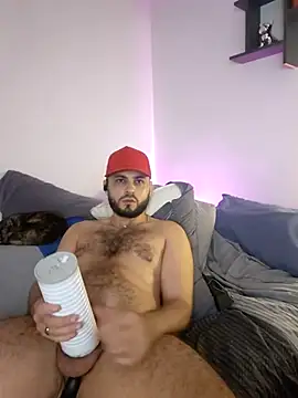 wil3147 webcam